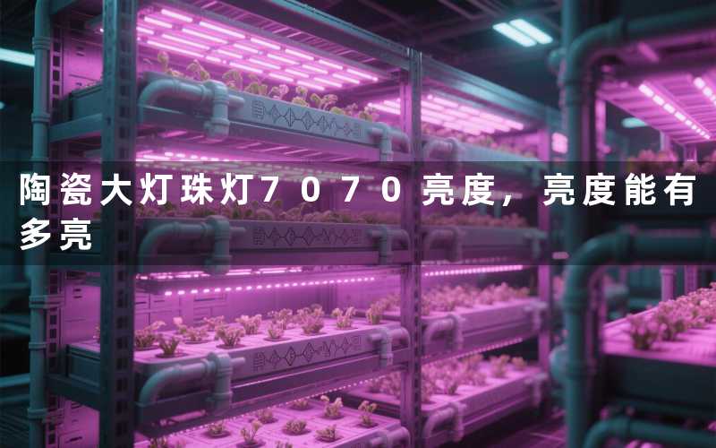 陶瓷大灯珠灯7070亮度,亮度能有多亮