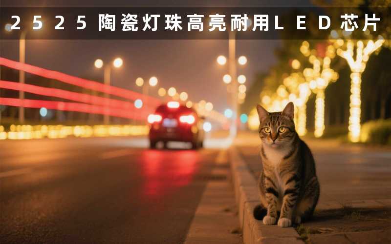 2525陶瓷灯珠(高亮耐用LED芯片)