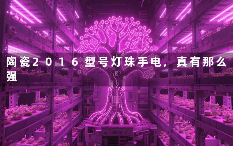 陶瓷2016型号灯珠手电,真有那么强