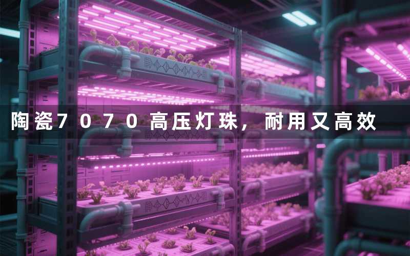 陶瓷7070高压灯珠,耐用又高效