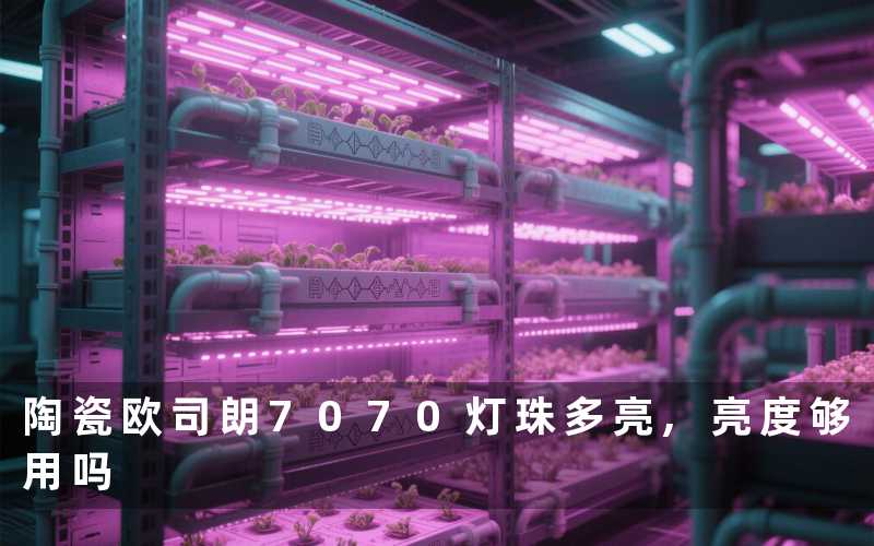 陶瓷欧司朗7070灯珠多亮,亮度够用吗