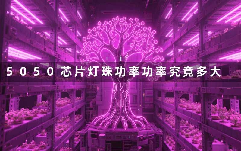 5050芯片灯珠功率（功率究竟多大）