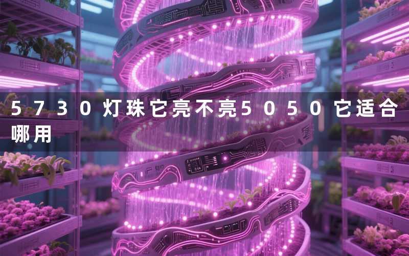 5730灯珠（它亮不亮）5050（它适合哪用）