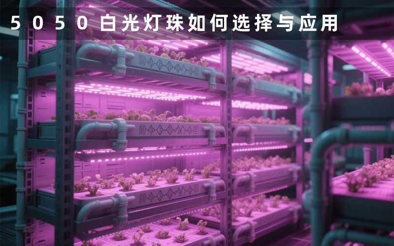 5050白光灯珠（如何选择与应用）