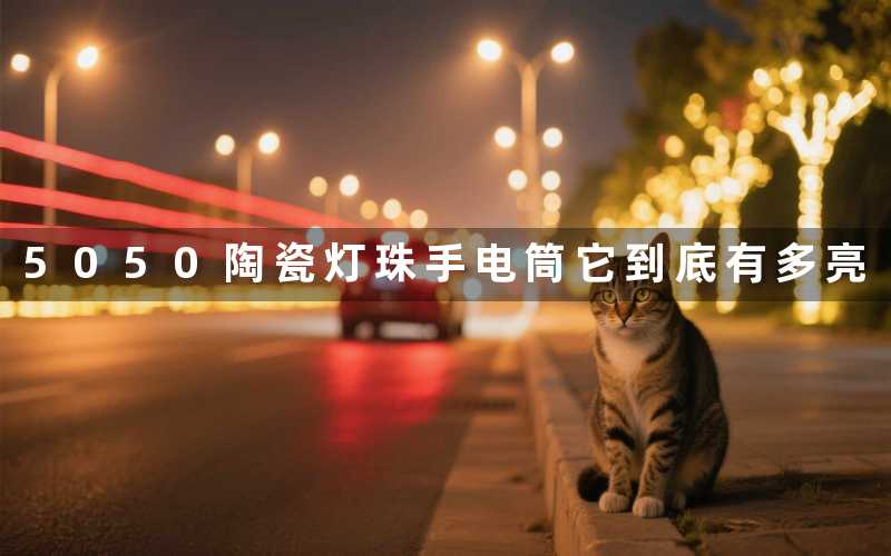 5050陶瓷灯珠手电筒它到底有多亮