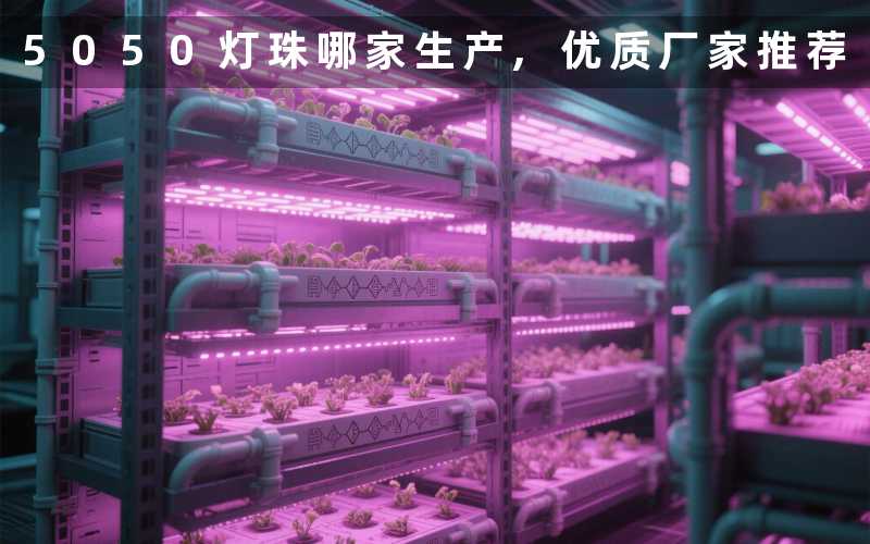 5050灯珠哪家生产优质厂家推荐