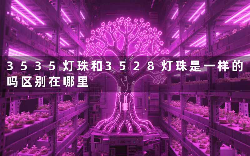 3535灯珠和3528灯珠是一样的吗区别在哪里