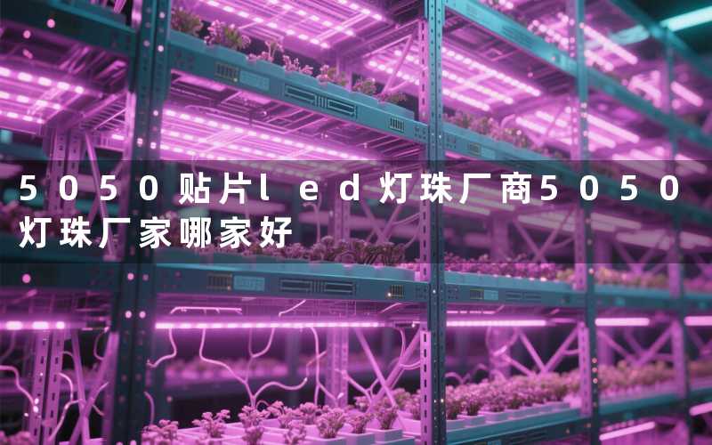 5050贴片led灯珠厂商（5050灯珠厂家哪家好）