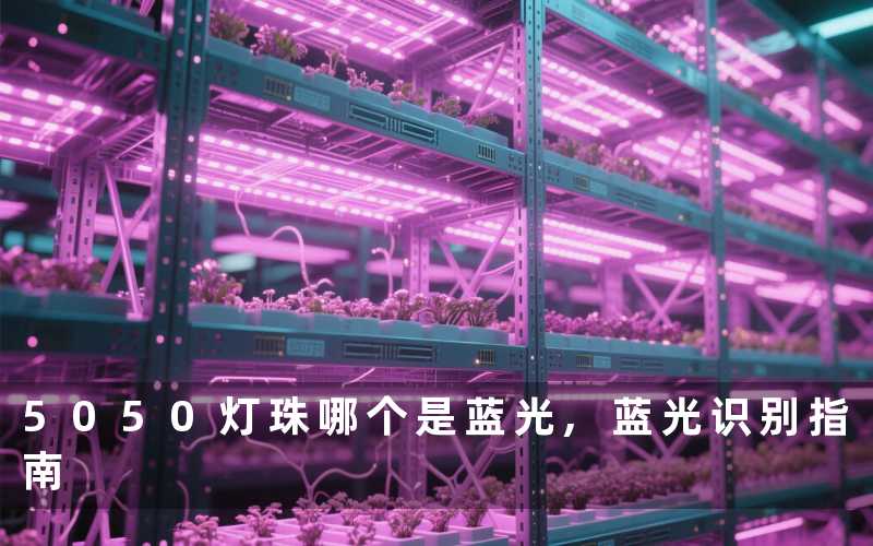 5050灯珠哪个是蓝光蓝光识别指南