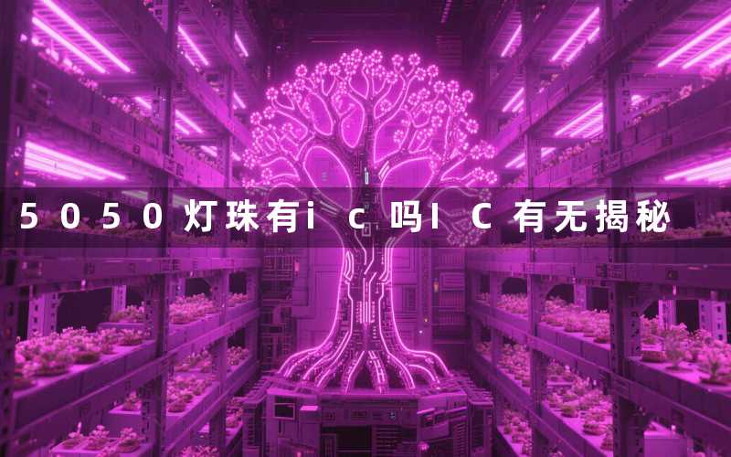 5050灯珠有ic吗(IC有无揭秘)