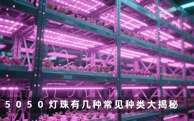 5050灯珠有几种(常见种类大揭秘)