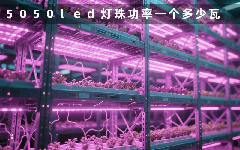 5050led灯珠功率(一个多少瓦)