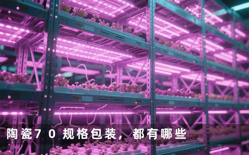 陶瓷70规格包装,都有哪些
