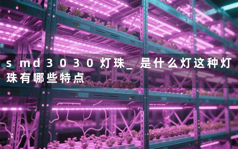 smd3030灯珠 是什么灯(这种灯珠有哪些特点)