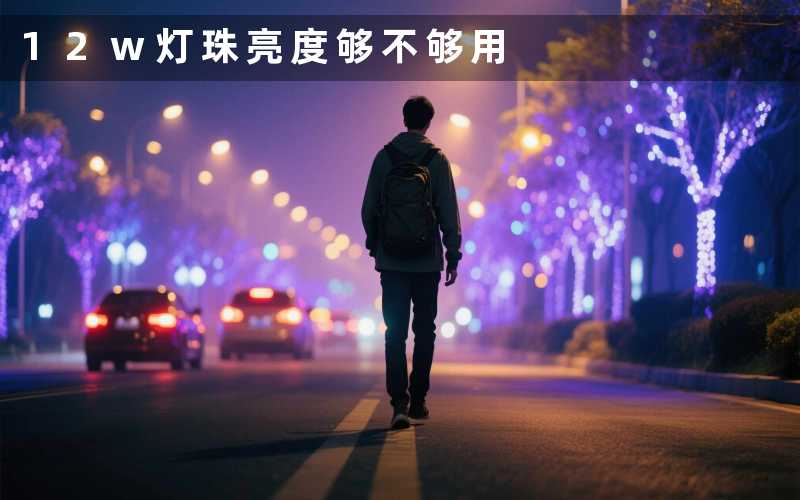 12w灯珠(亮度够不够用)