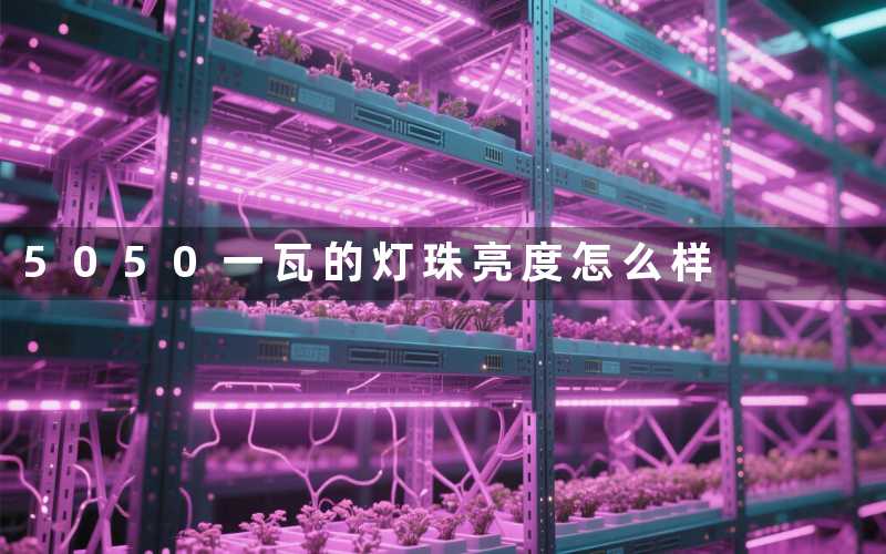5050一瓦的灯珠(亮度怎么样)