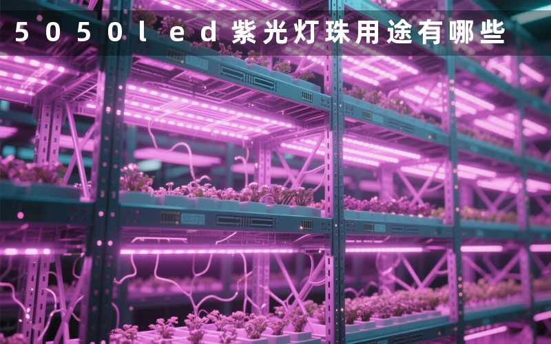 5050led紫光灯珠(用途有哪些)