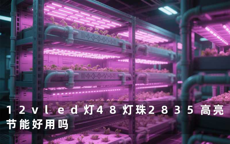 12vled灯48灯珠2835(高亮节能好用吗)