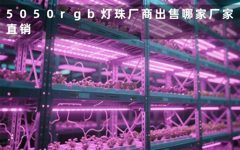 5050rgb灯珠厂商出售(哪家厂家直销)