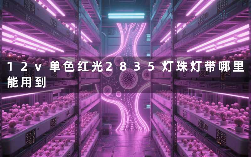 12v单色红光2835灯珠灯带(哪里能用到)
