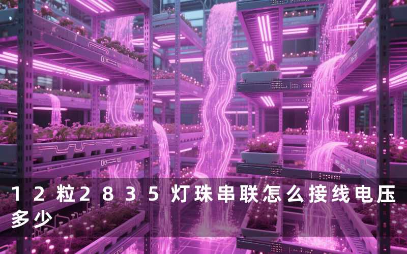 12粒2835灯珠串联(怎么接线电压多少)