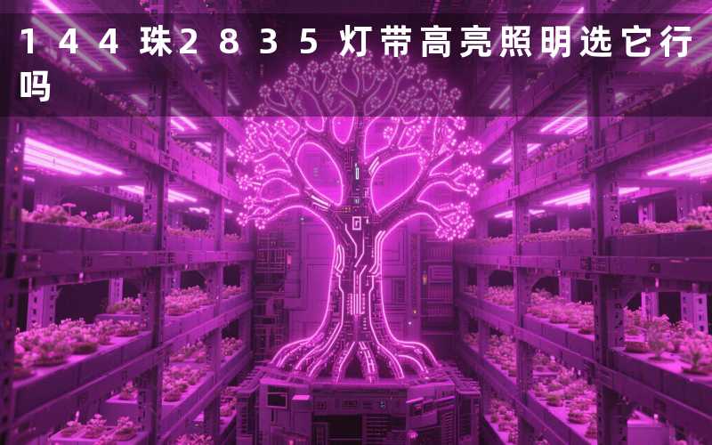 144珠2835灯带(高亮照明选它行吗)