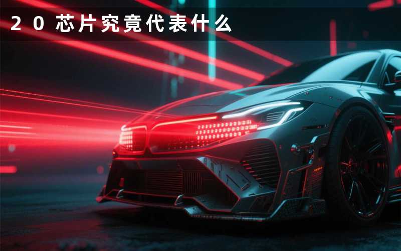 20芯片(究竟代表什么)