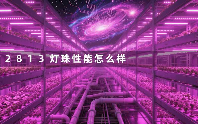 2813灯珠性能怎么样