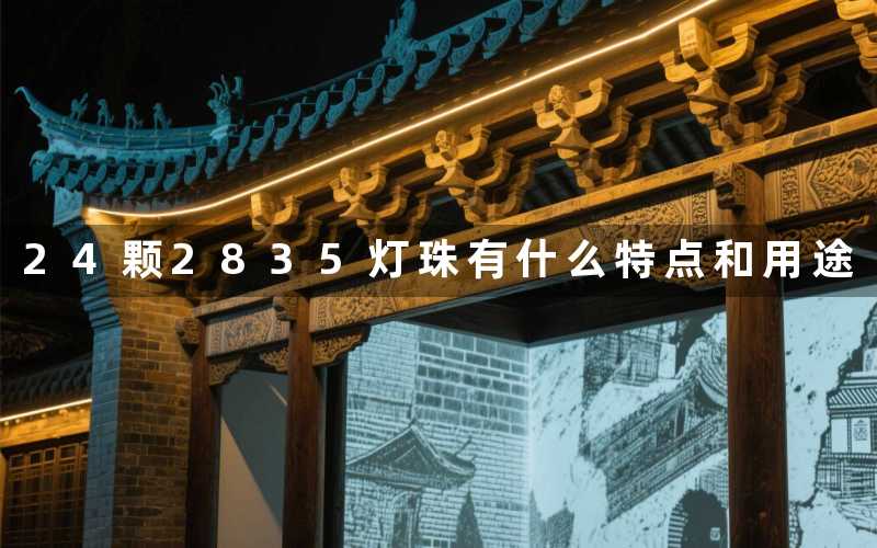 24颗2835灯珠(有什么特点和用途)