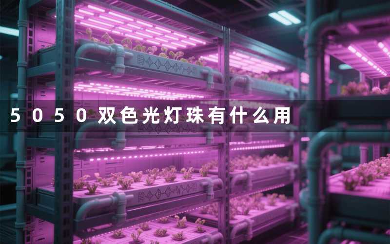 5050双色光灯珠(有什么用)