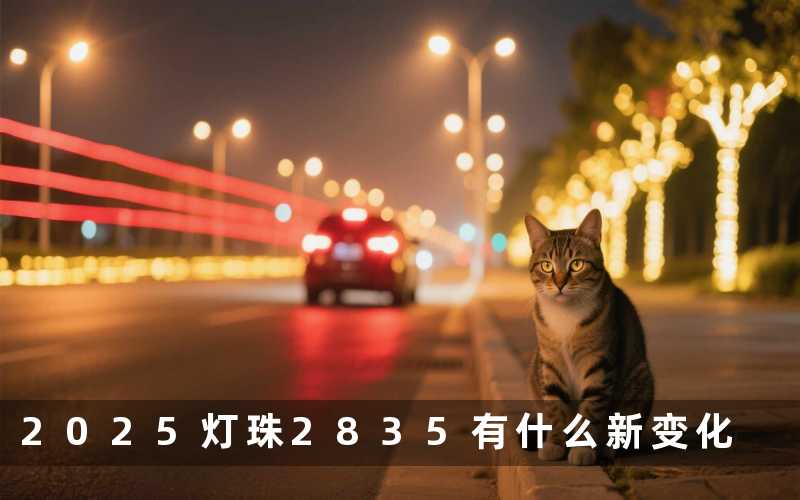 2025灯珠2835(有什么新变化)