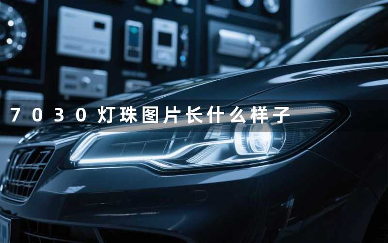 7030灯珠图片长什么样子