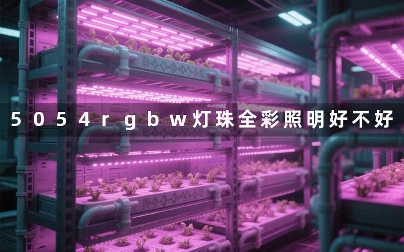 5054rgbw灯珠全彩照明好不好