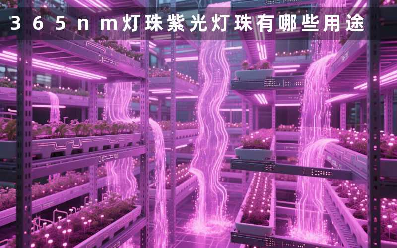 365nm灯珠紫光灯珠有哪些用途