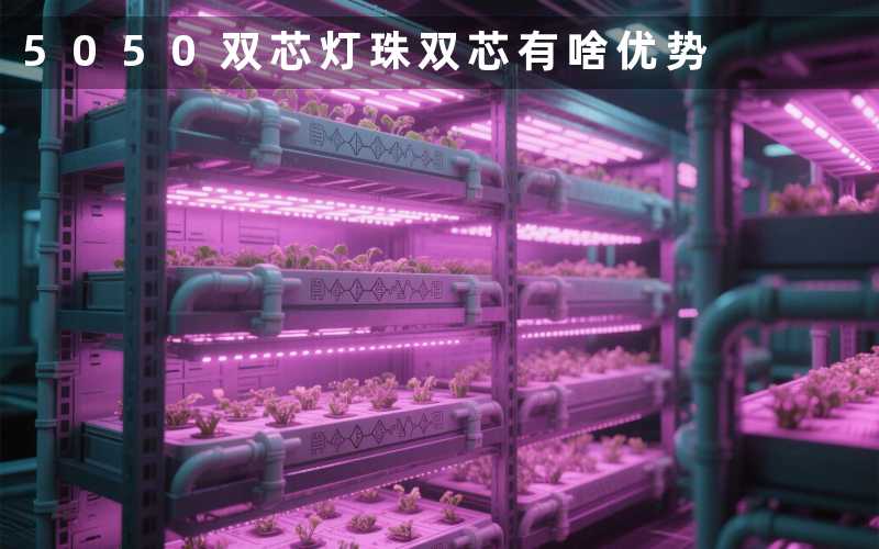 5050双芯灯珠(双芯有啥优势)