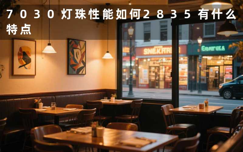 7030灯珠性能如何2835有什么特点
