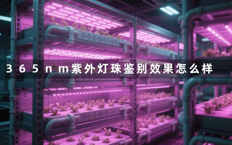 365nm紫外灯珠(鉴别效果怎么样)