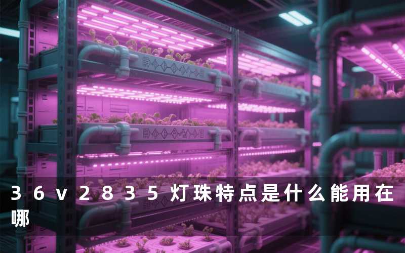 36v2835灯珠(特点是什么能用在哪)