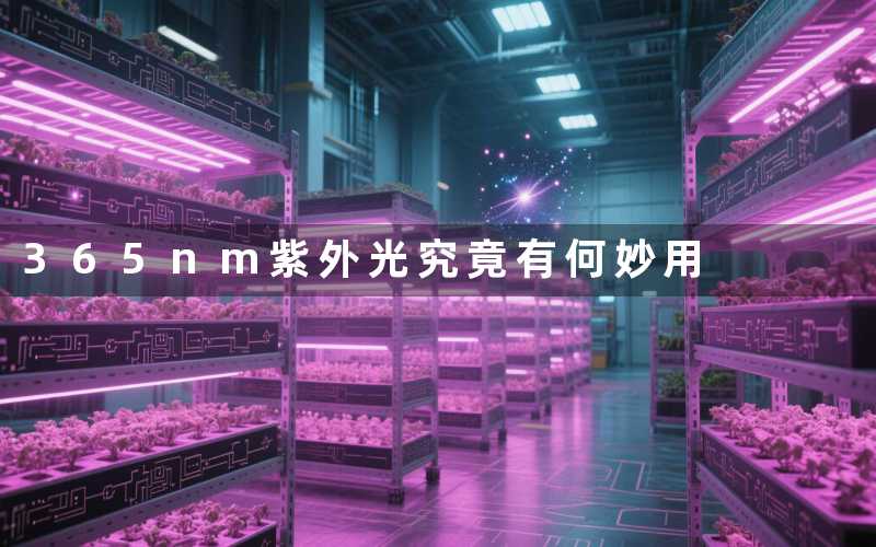 365nm紫外光(究竟有何妙用)
