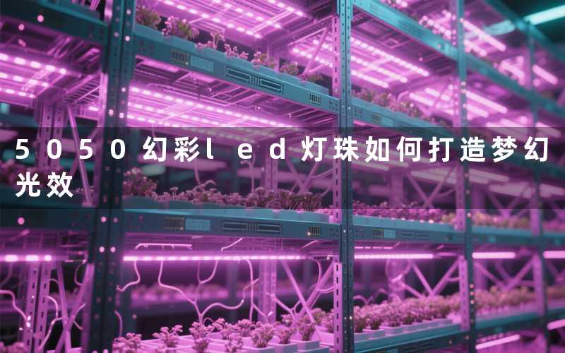 5050幻彩led灯珠(如何打造梦幻光效)
