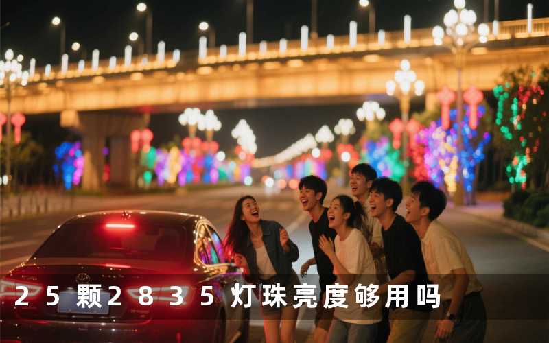 25颗2835灯珠(亮度够用吗)