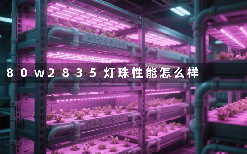 80w2835灯珠性能怎么样
