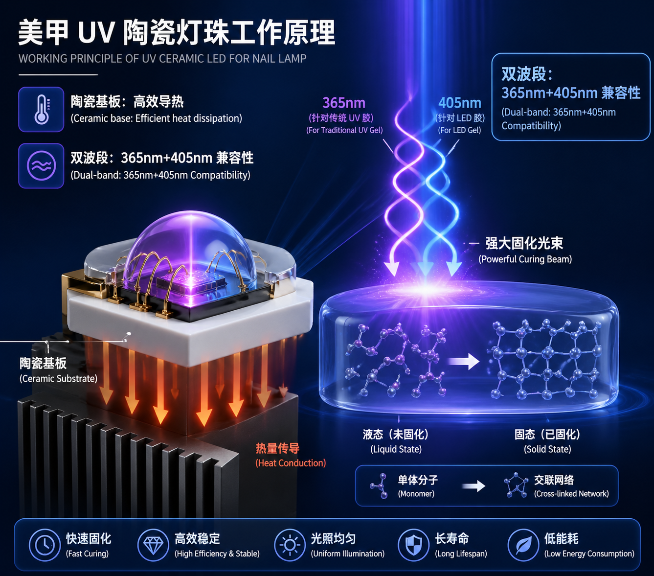 美甲 UV 陶瓷灯珠工作原理示意图，展示陶瓷基板的高效导热能力，以及 365nm 和 405nm 双波段光线如何激活凝胶固化。