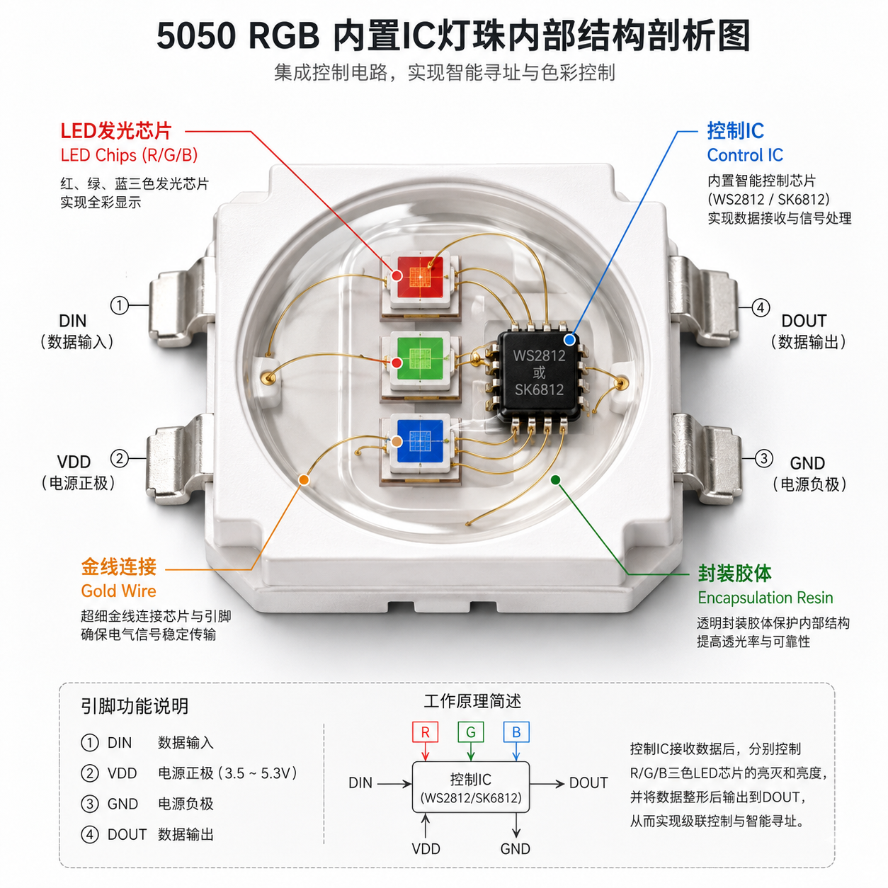 5050 RGB内置IC灯珠内部结构示意图,清晰展示LED发光芯片、控制IC、金线连接和封装胶体等核心组件。
